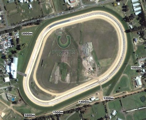 mornington racing results